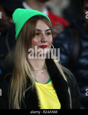 Ein Fan auf der Tribüne vor dem Internationalen Freundschaftsspiel im Emirates Stadium, London. PRESS ASSOCIATION Foto. Bild Datum: Freitag, 16. November 2018. Siehe PA-Geschichte Fußball Brasilien. Photo Credit: Steven Paston/PA-Kabel Stockfoto