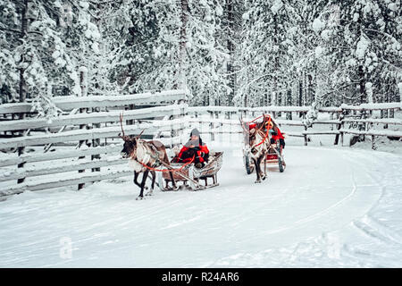 Rovaniemi, Finnland - 30. Dezember 2010: Racing auf dem Rentierschlitten in Lappland in Finnland im Winter. Stockfoto