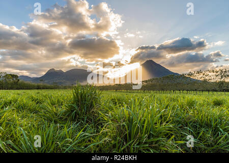 Vulkan Arenal, von La Fortuna De San Carlos, Costa Rica, Mittelamerika gesehen Stockfoto