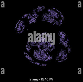 Violett abstraktes fraktale Muster auf schwarzen Hintergrund. Fantasy fraktale Struktur. Digitale Kunst 3D-Rendering. Computer Generated image Stockfoto