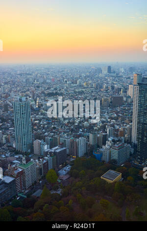 Stadtbild Blick bei Sonnenuntergang vom Tokyo Metropolitan Government Building, Tokio, Japan, Asien Stockfoto