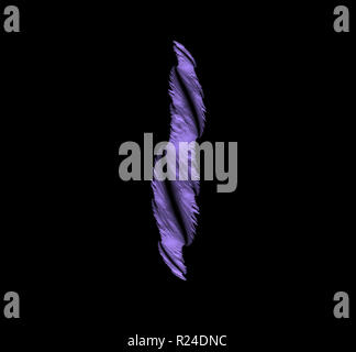 Violett abstraktes fraktale Muster auf schwarzen Hintergrund. Fantasy fraktale Struktur. Digitale Kunst 3D-Rendering. Computer Generated image Stockfoto