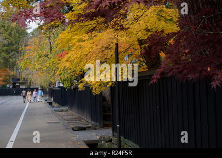 Entlang Bukeyashiki Straße in Hakuba, Japan in der Fallhöhe Farbe. Stockfoto