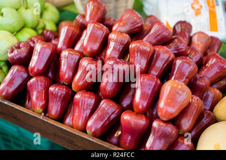 Frische süße Wachs apple Früchte auf dem lokalen Markt in Krabi Stadt. Traditionelle thailändische frische Lebensmittel. Stockfoto