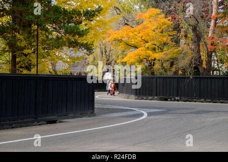 Die anmutige Kurve entlang Bukeyashiki Straße in Hakuba während der Fallhöhe Farbe. Stockfoto