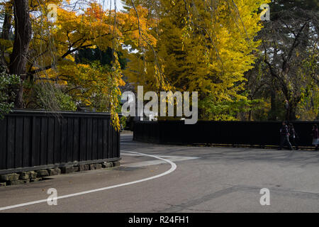 Die anmutige Kurve entlang Bukeyashiki Straße in Hakuba während der Fallhöhe Farbe. Stockfoto