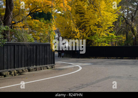 Die anmutige Kurve entlang Bukeyashiki Straße in Hakuba während der Fallhöhe Farbe. Stockfoto