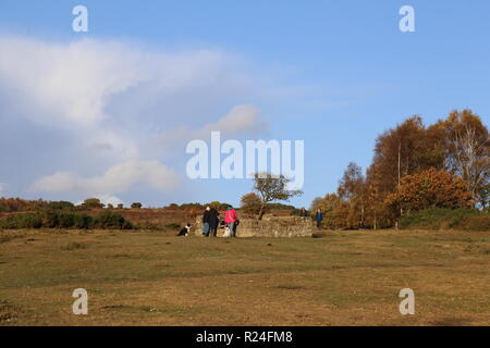 Der Flieger Grab auf Ashdown Forest Stockfoto