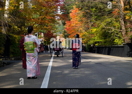 Entlang Bukeyashiki Straße in Hakuba, Japan in der Fallhöhe Farbe. Stockfoto