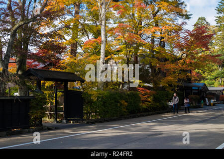 Entlang Bukeyashiki Straße in Hakuba, Japan in der Fallhöhe Farbe. Stockfoto