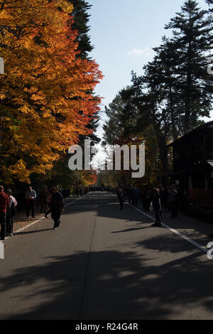 Entlang Bukeyashiki Straße in Hakuba, Japan in der Fallhöhe Farbe. Stockfoto