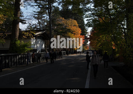 Entlang Bukeyashiki Straße in Hakuba, Japan in der Fallhöhe Farbe. Stockfoto