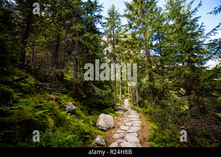 Schönen Velka Studena Dolina - in der slowakischen Hohen Tatra. Schönen Sommer Panorama - weg von Stary Smokovec über Hrebienok zu Zbojnicka Ch Stockfoto