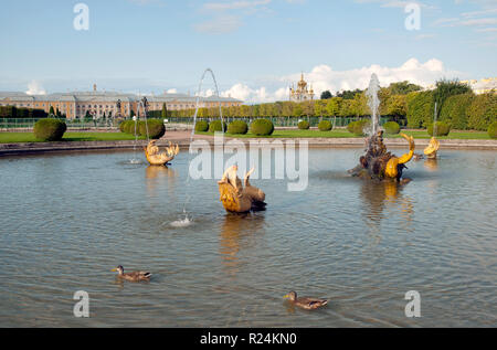 PETERHOF, Saint Petersburg, Russland - 2. SEPTEMBER 2018: Die oberen Garten. Enten schwimmen im Mezheumniy (unbefristet) Brunnen. Stockfoto