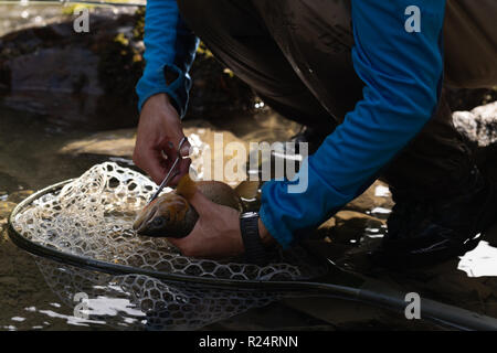 Fischer entfernen Angeln Haken von Fisch mit Schere Stockfoto