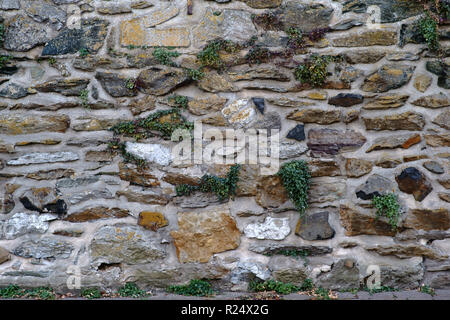 Eine rustikale Mauer gestaffelt und gebrochene Steine mit verstreuten sukkulenten Pflanzen in die Risse in den Wänden. Stockfoto