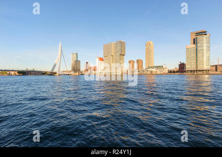 Erasmus Bridge und die Skyline von Kop van Zuid in Rotterdam, Niederlande Stockfoto