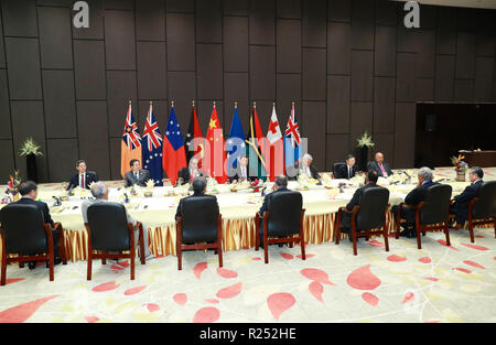 (181116) - Port Moresby, November 16, 2018 (Xinhua) - der chinesische Präsident Xi Jinping Hosts eine gemeinsame Sitzung mit Papua-neuguinea Ministerpräsident Peter O'Neill, Präsident Peter Christian der Föderierten Staaten von Mikronesien, Premierminister Malielegaoi Tuilaepa von Samoa, Vanuatu Premierminister Charlot Salwai, Premierminister Henry Puna der Cook Inseln, Premierminister Samuela Akilisi Pohiva von Tonga, Niue Premier Toke Talagi und Fidschi Vertreter der Regierung, der Verteidigungsminister Ratu Inoke Kubuabola, und liefert eine Grundsatzrede in Port Moresby, Papua Neu Guinea, Nov. 16, 2018. (Xinhua / Pang Xi. Stockfoto