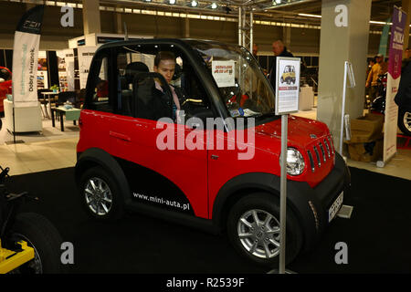 Corato, Polen, 16. November 2018: elektrische Auto Modelle an der Warschauer Motor Show präsentiert. Credit: Jake Ratz/Alamy leben Nachrichten Stockfoto