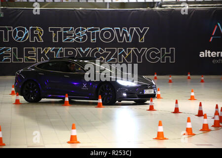 Corato, Polen, 16. November 2018: elektrische Auto Modelle an der Warschauer Motor Show präsentiert. Credit: Jake Ratz/Alamy leben Nachrichten Stockfoto