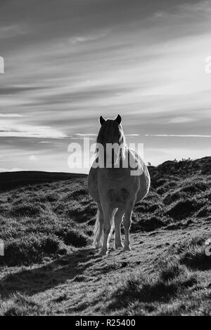 Die Long Mynd ist einer der Shropshire Hills, die in der ländlichen Grafschaft Shropshire in den West Midlands in England befinden. 1958 wurde der Shropshire Hills, zusammen mit den umliegenden Felder, Wälder und Flusstäler waren ein Gebiet von außergewöhnlicher natürlicher Schönheit bezeichnet. 2 Nov, 2018. Die Ironbridge Kohlekraftwerk, nun ausgedient, ist Teil der Landschaft von Shropshire und wird durch die Ufer des Flusses Severn an Buildwas in Shropshire Credit: Matt Duckett/IMAGESLIVE/ZUMA Draht/Alamy leben Nachrichten Stockfoto