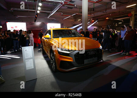 Corato, Polen, 16. November 2018: Aktuelle Modelle von Audi Q8 an der Warschauer Motor Show. Credit: Jake Ratz/Alamy leben Nachrichten Stockfoto