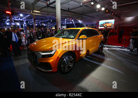 Corato, Polen, 16. November 2018: Aktuelle Modelle von Audi Q8 an der Warschauer Motor Show. Credit: Jake Ratz/Alamy leben Nachrichten Stockfoto