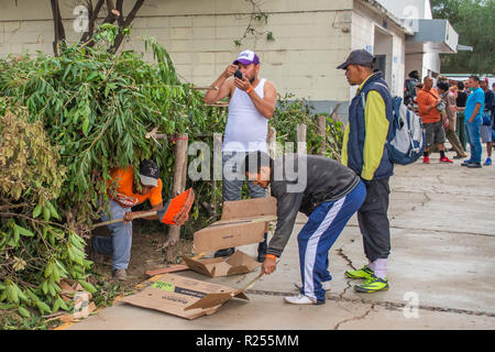 Männer aus Mittelamerika mit einer Bürste eine Notunterkunft in der Unidad Deportiva Benito Juarez behelfsmäßigen Notunterkünften am 15. November konstruieren, 2018 in Tijuana, Mexiko. 15 Nov, 2018. Sie sind ein Teil der Gruppe von Asylbewerbern, wie die ''MMigrant Caravan Kredit bekannt: Vito Di Stefano/ZUMA Draht/Alamy leben Nachrichten Stockfoto