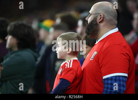 Cardiff City Stadium, Cardiff, UK. 16 Nov, 2018. UEFA Nationen Liga Fußball, Wales gegen Dänemark; Wales Fans genießen das Spiel Quelle: Aktion plus Sport/Alamy leben Nachrichten Stockfoto