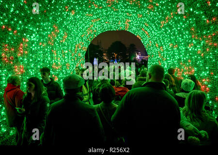 Bournemouth, UK. 16. November 2018. Tausende von Menschen strömen zu der grossen Schalter an der Bournemouth Weihnachtsbaum Wunderland, wo 100 Weihnachtsbäume in allen Formen und Größen zum Leben kamen, einschließlich der 60 ft Bournemouth Wunderland Baum Mittelstück. Die massive Wunderland Baum ist ein einzigartiger Weg - durch Struktur, in Bournemouth Gärten, die regelmäßigen Ton- und Lichtshows mit Musik. Über 500.000 Lichter machen den Reiz aus. Stockfoto