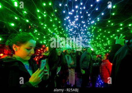 Vancouver, Kanada. 16 Nov, 2018. Die Menschen genießen die "Lichter der Hoffnung" Anzeige in Vancouver, Kanada, 16. November, 2018. "Die Lichter der Hoffnung'' ist eine der größten jährlichen Spendensammlung mit der massiven Weihnachten - Leuchtet auf St. Pauls Krankenhaus in der Innenstadt von Vancouver angezeigt. Credit: Liang Sen/Xinhua/Alamy leben Nachrichten Stockfoto