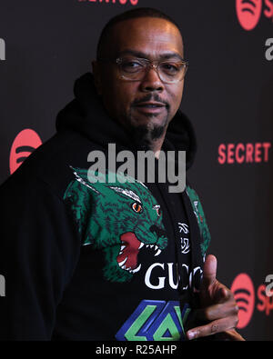 Los Angeles, USA. 16 Nov, 2018. Timbaland betreut der Spotify Geheimnis Genie Awards Gehostet von NE-YO im Theater im Ace Hotel am 16. November in Los Angeles, Kalifornien 2018. Credit: Foto Access/Alamy leben Nachrichten Stockfoto