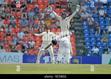 Kandy, Sri Lanka. 17. November 2018, pallekele International Cricket Stadion, Kandy, Sri Lanka; Internationale Test Cricket, zweiter Test, Tag 4, Sri Lanka im Vergleich zu England, roshen Silva den Ball als Joe Root und Ben schürt Appell Credit: Aktion Plus Sport Bilder/Alamy leben Nachrichten Stockfoto