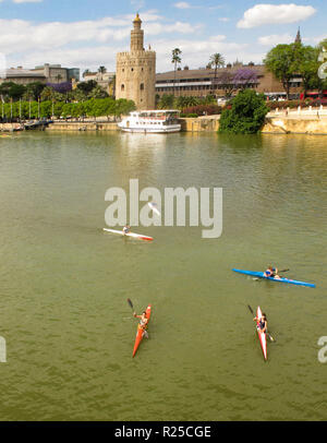 Torre del Oro und Flusses Gualdalquivir. Sevilla. Andalusien. Spanien Stockfoto