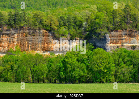 Klippen und Feder Wald entlang der Kleinen Buffalo River, in der Nähe der Parthenon, Arkansas, USA Stockfoto