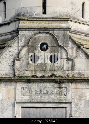 Eine taube Sitzstangen in einem Fenster in einen kleinen Stein mausoleum Grab in West Norwood Friedhof, London. Stockfoto