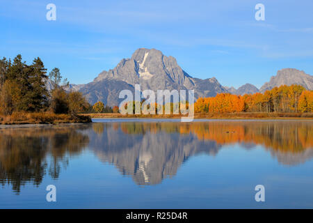 Der Grand Teton National Park Herbst Farben und Reflexion über Oxbow Bend und Mount Moran Stockfoto