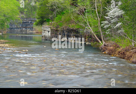 Frühjahr Wald entlang der Buffalo River. Ponca zugreifen., Buffalo National River, Arkansas, USA Stockfoto