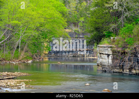 Frühjahr Wald entlang der Buffalo River. Ponca zugreifen., Buffalo National River, Arkansas, USA Stockfoto