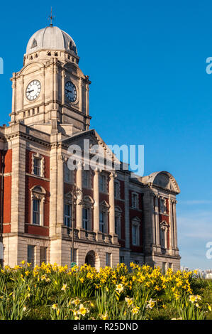 Cardiff, Wales - März 17, 2013: Narzissen blühen außerhalb der ehemaligen Barry Docks Office, das Tal von Glamorgan Borough Council. Stockfoto