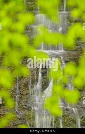 Twin Falls, Buffalo National River, Arkansas, USA Stockfoto