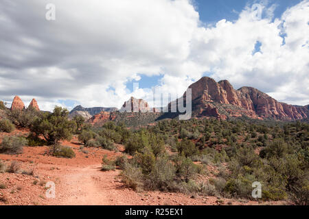 Blick entlang kleine Pferd wüste Wanderweg im Sedona Arizona Red Rock Buttes Stockfoto
