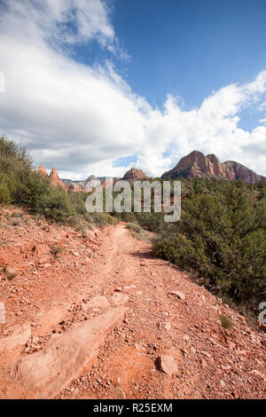 Blick entlang kleine Pferd wüste Wanderweg im Sedona Arizona Red Rock Buttes Stockfoto