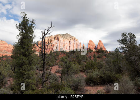 Blick entlang kleine Pferd wüste Wanderweg im Sedona Arizona Red Rock Buttes Stockfoto