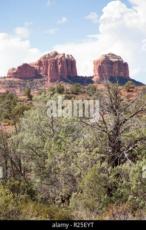 Blick entlang kleine Pferd wüste Wanderweg im Sedona Arizona Red Rock Buttes Stockfoto