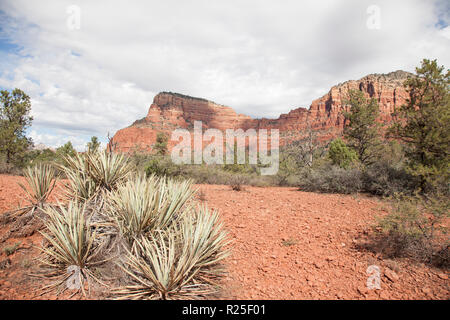 Blick entlang kleine Pferd wüste Wanderweg im Sedona Arizona Red Rock Buttes Stockfoto