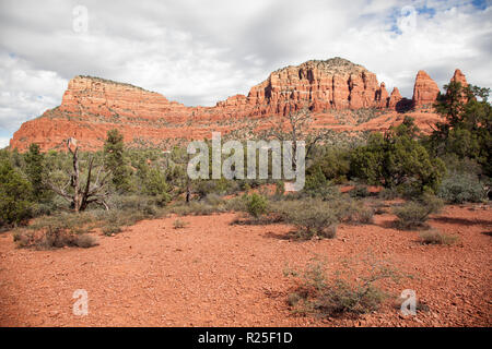 Blick entlang kleine Pferd wüste Wanderweg im Sedona Arizona Red Rock Buttes Stockfoto
