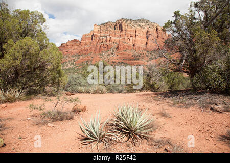 Blick auf rote Felsformationen entlang kleine Pferd Trail im Sedona Arizona Stockfoto