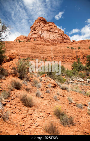 Blick auf rote Felsformationen entlang kleine Pferd Trail im Sedona Arizona Stockfoto