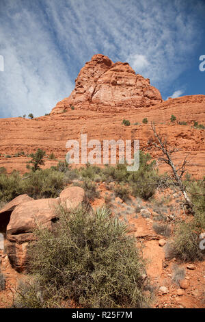 Blick auf rote Felsformationen entlang kleine Pferd Trail im Sedona Arizona Stockfoto